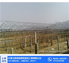 日光大棚助力邵阳城市形象提升——立辉润悦建筑工程公司专业建设多图赏析